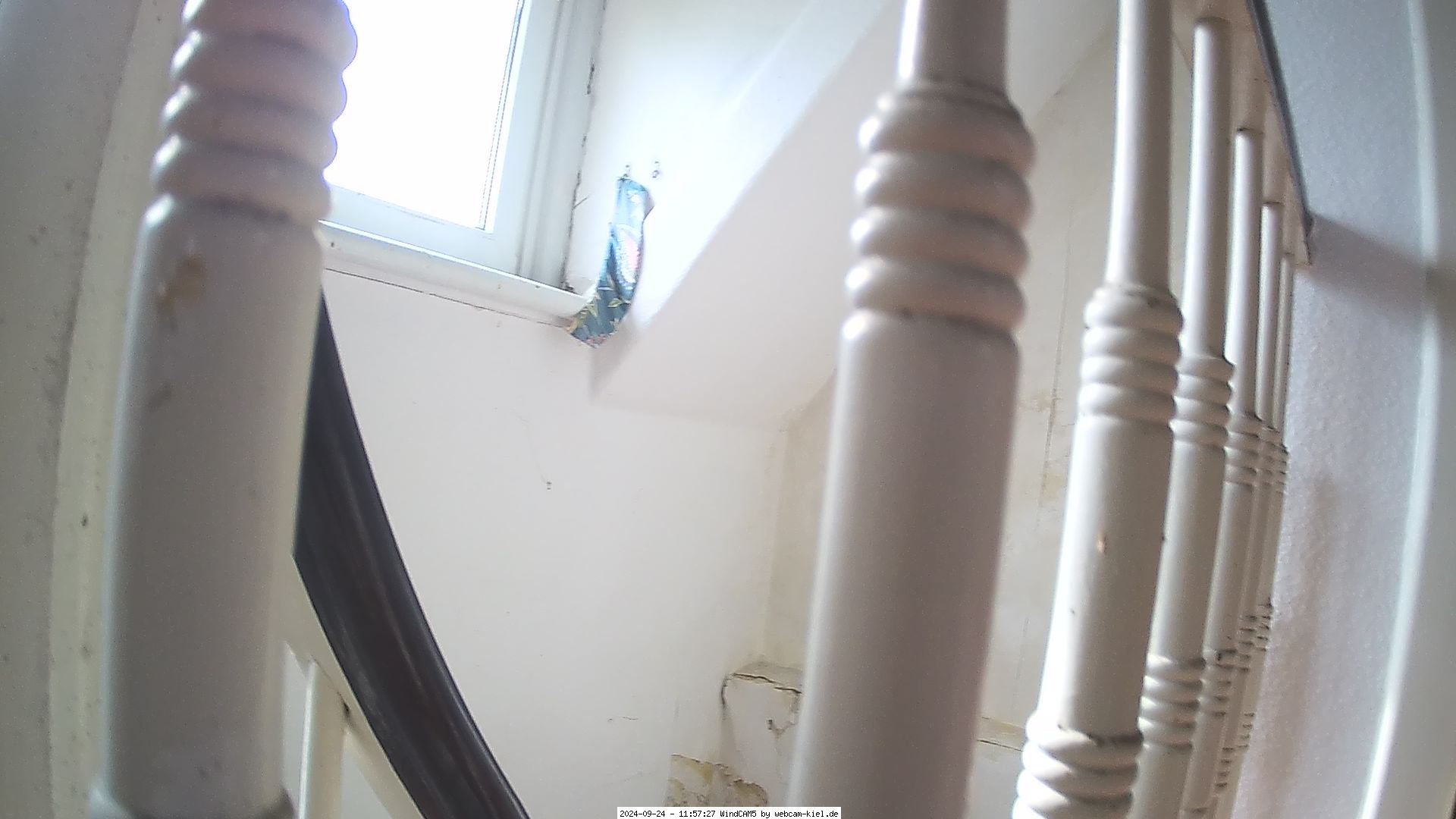 ./2024/10/10/202410100230_windcam5.jpg